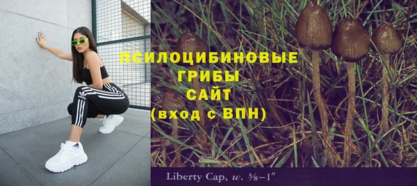 соль ск Абдулино
