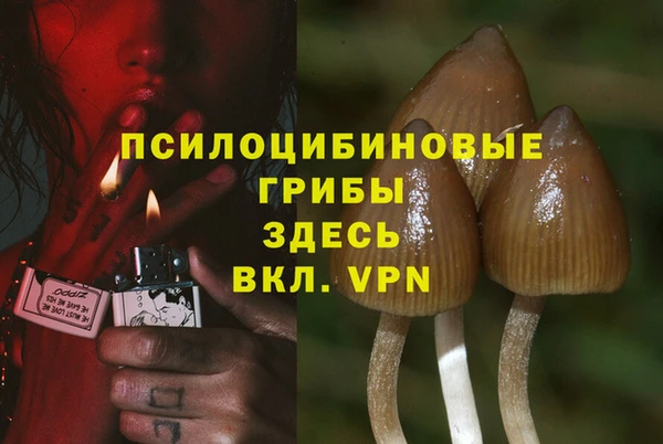 a pvp Абаза