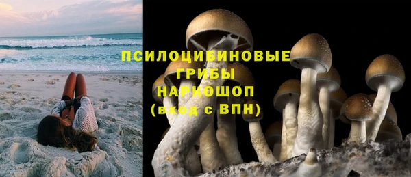 МДПВ Абинск